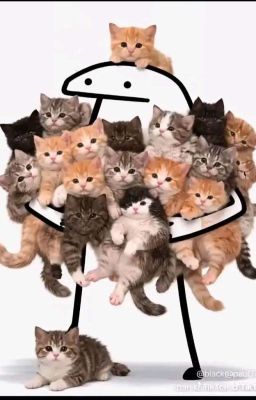 👮‍♀️🕵️‍♀️👸🏍️💋💘💍