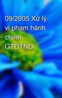 09/2005 Xử lý vi phạm hành chính GTĐTNĐ