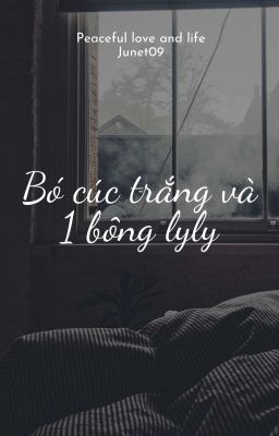 1 Bó Cúc Trắng Liệu Có Thể Đổi Được 1 Bông Lyly