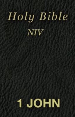 1 John (NIV)