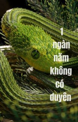 1 ngàn năm không có duyên