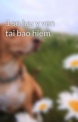 1 so luu y van tai bao hiem