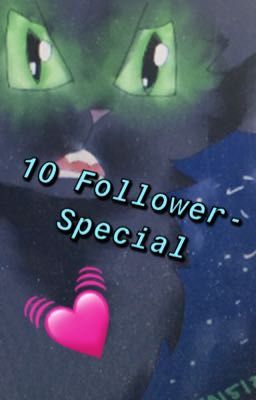 10 Follower-Special