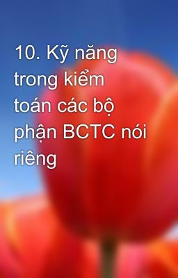 10. Kỹ năng trong kiểm toán các bộ phận BCTC nói riêng