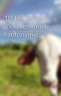 10. Les moyens d'expression de l'antonymie: