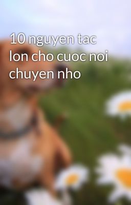 10 nguyen tac lon cho cuoc noi chuyen nho