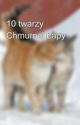 10 twarzy Chmurnej Łapy 