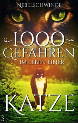 1000 Gefahren im Leben einer Katze🌿