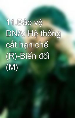 11.Bảo vệ DNA: Hệ thống cắt hạn chế (R)-Biến đổi (M)