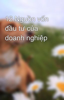 12.Nguồn vốn đầu tư của doanh nghiệp