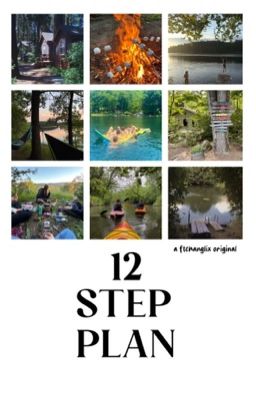 12 STEP PLAN! (skz) 