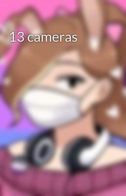 13 cameras