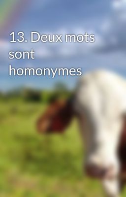 13. Deux mots sont homonymes