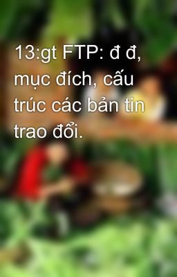 13:gt FTP: đ đ, mục đích, cấu trúc các bản tin trao đổi.