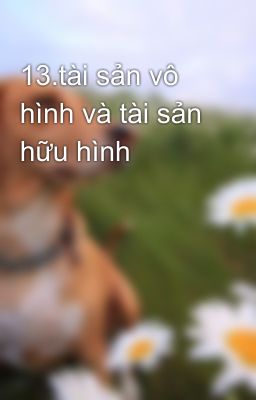 13.tài sản vô hình và tài sản hữu hình