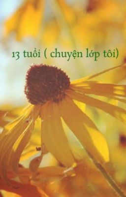 13 tuổi ( chuyện lớp tôi)