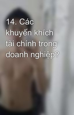 14. Các khuyến khích tài chính trong doanh nghiệp?