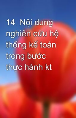 14  Nội dung nghiên cứu hệ thống kế toán trong bước thực hành kt