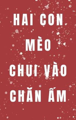 15:00 l 3375th Meowracle - Hai Con Mèo Chui Vào Chăn Ấm