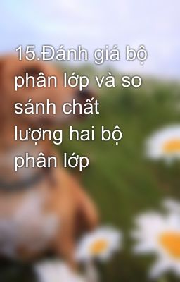 15.Đánh giá bộ phân lớp và so sánh chất lượng hai bộ phân lớp