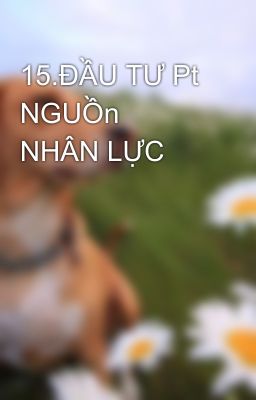 15.ĐẦU TƯ Pt NGUỒn  NHÂN LỰC