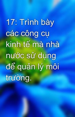 17: Trình bày các công cụ kinh tế mà nhà nước sử dụng để quản lý môi trường.