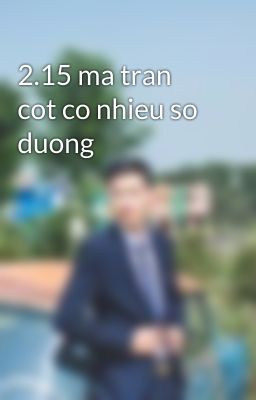 2.15 ma tran cot co nhieu so duong