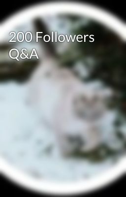 200 Followers Q&A