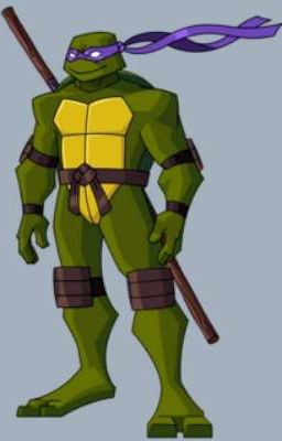 2003 Donatello x reader oneshots REQUESTS OPEN