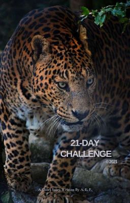 21-Day Challenge