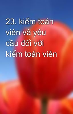 23. kiểm toán viên và yêu cầu đối với kiểm toán viên