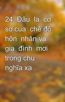 24. Đâu  la  cơ sơ cua  chê đô hôn  nhân va  gia  đình  mơi trong chu nghĩa xa hôi?