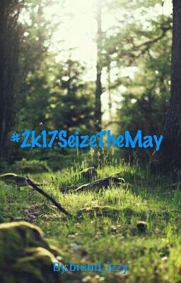 #2k17SeizeTheMay