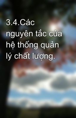 3.4.Các nguyên tắc của hệ thống quản lý chất lượng.