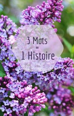 3 mots 1 histoire