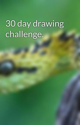 30 day drawing challenge.