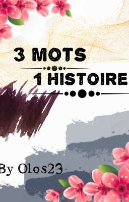 3Mots 1Histoire