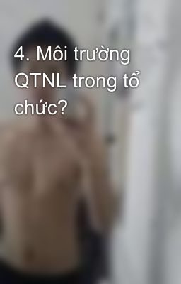 4. Môi trường QTNL trong tổ chức?