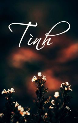 [421] Tình