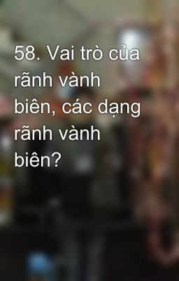 58. Vai trò của rãnh vành biên, các dạng rãnh vành biên?