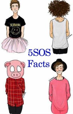 5SOS Facts [Livre]