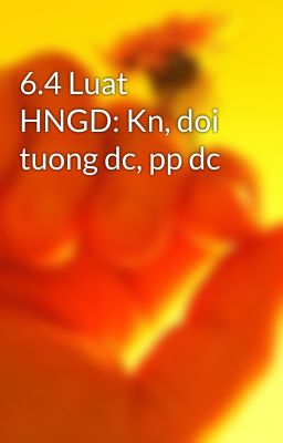 6.4 Luat HNGD: Kn, doi tuong dc, pp dc