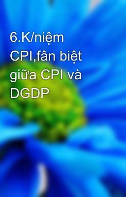 6.K/niệm  CPI,fân biệt giữa CPI và DGDP