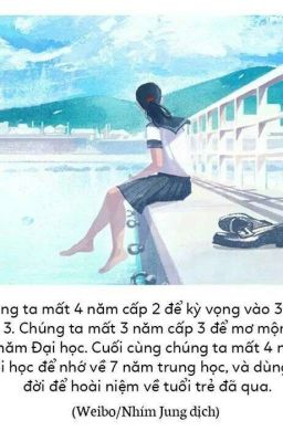 7 năm hướng về phía mặt trời