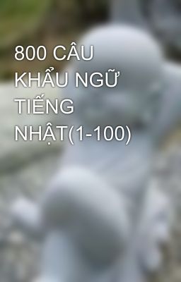 800 CÂU KHẨU NGỮ TIẾNG NHẬT(1-100)