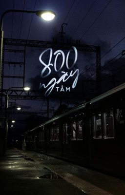 800 Ngày