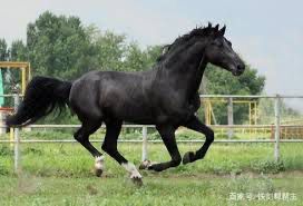 68747470733a2f2f73332e616d617a6f6e617773