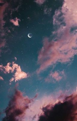 Stray ChXnce | 𝚂𝙺𝚉 𝙰𝚙𝚙𝚕𝚢 𝚏𝚒𝚌 {CLOSED}