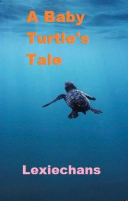 A Baby Turtle's Tale #PlanetOrPlastic