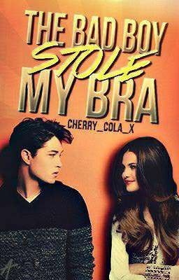 A Bad Boy Stole My Bra- SAMPLE